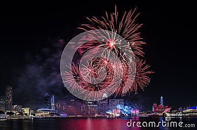 Singapore National Day`s Firework Editorial Stock Photo